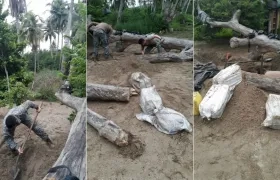 La droga estaba enterrada en 14 bultos, que fueron sacados por hombres de la Armada Nacional.