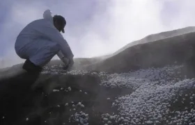 Se trata de un catálogo de referencia diverso de microbios y microbiomas en la Tierra.