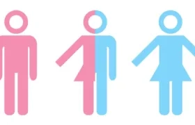 El fallo supone un paso más allá en la adquisición de derechos de las personas intersexuales en Alemania.