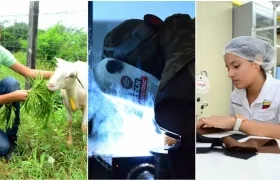 Los nuevos estudiantes iniciarán clases el 29 de enero de 2018.