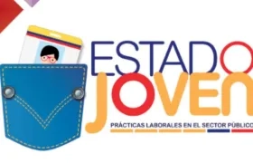 “Estado Joven” es un programa cuyo objetivo es fomentar la práctica laboral en el sector público.