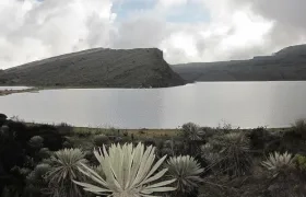 Páramo de Sumapaz.