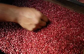 El programa se desarrollará desde el CIAT sede Palmira.