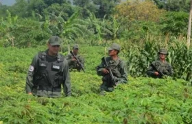 Habitantes denunciaron la invasión.