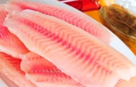 Cinco convenios de asistencia técnica por $ 6.390 millones serán para los productores de tilapia en Colombia.