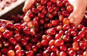 E resultado fue "consecuencia de las fuertes y constantes lluvias en gran parte del país".