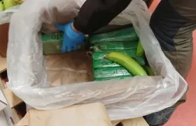 La droga iba oculta en un contenedor de platanos.