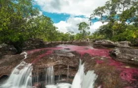 Brazo derecho de Caño Cristales