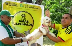Si los amas vacúnalos. El Distrito realizará este domingo la última jornada de  vacunación antirrábica animal gratuita.