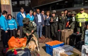 Un llamado a no comercializar especies silvestres hizo el ministro de Ambiente, Luis Gilberto Murillo.