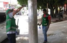 La postería es la más apetecida para la invasión publicitaria en elecciones, pese a la labor de Control Urbano por conservarla en buen estado.