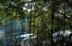 La convocatoria buscaba proyectos que apoyaran la gestión de GEO.