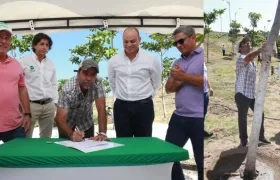 Se firmó un convenio para la siembra masiva de árboles adultos en el Área Metropolitana.