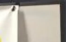 Rocío Gamarra, gerente del CARI.