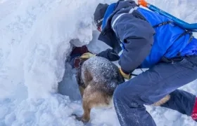 El gendarme y el perro intentando sacar al menor en los Alpes franceses.