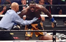 Deontay Wilder tras propinar el nocáut a su rival. 