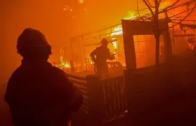 Los incendios fueron devastadores. 