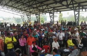 A la fecha están suscritos los acuerdos de sustitución con 11.385 familias, de las cuales 6.779 son cultivadores, 3.614 no cultivadores y 792 son recolectores.