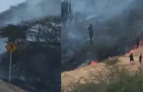 Un incendio forestal se registra a esta hora en el Cerro Ziruma