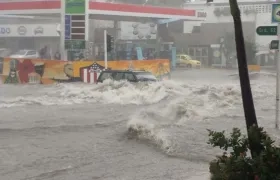 Distrito pidió a la ciudadanía no retar a los arroyos. 