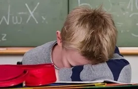 El equipo analizó las seis regiones descritas por la Organización Mundial de la Salud (OMS).