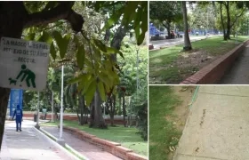 A diario propietarios de mascotas no recogen las heces cuando los sacan al parque.