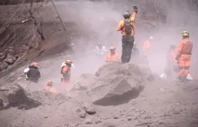 Brigadistas buscando los cuerpos. 