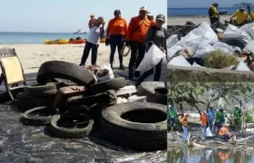 Participaron 300 personas. 