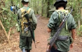 Los 10 disidentes de las FARC fueron dados de baja en Fortul, Arauca.