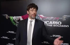 El actor Benicio del Toro.