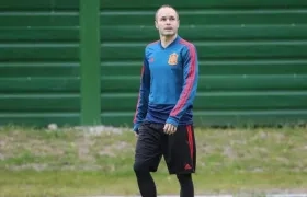 El volante español Andrés Iniesta.