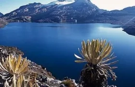 Ley de Páramos pasó a sanción presidencial.