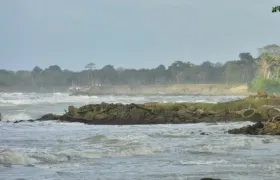 En las jornadas han limpiado 187 toneladas de basuras y residuos.