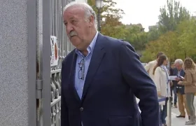 Vicente Del Bosque. 