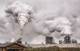 En ambientes con mayor contaminación la cantidad de proteínas, hierro y zinc en cultivos disminuye del 3 al 17 %.