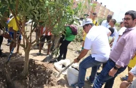 Alberto Salah y Clemente Fajardo, durante la siembra de árboles en Villas de la Cordialidad.