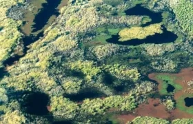 Más de mil millones de personas dependen de los humedales para su subsistencia.