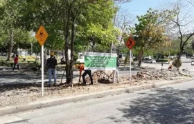 Las obras hacen parte de la recuperación y embellecimiento de espacios públicos en la ciudad.