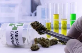 Un buen tratamiento de la patología reduce el riesgo de adicción a las drogas y de criminalidad asociado al TDAH.