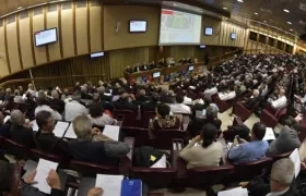 Sínodo de los obispos sobre la Amazonía.