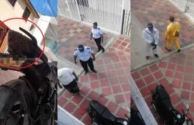 Los bomberos llegaron para retirar las abejas africanizadas.