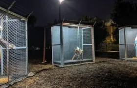 Así está armado el pesebre.