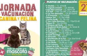 En 28 puntos de la ciudad.
