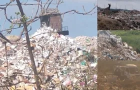Imágenes del basurero. 