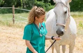 Programa de Medicina Veterinaria y Zootecnia recibió la acreditación por 7 años.
