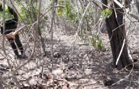 Cuerpo de hombre hallado  en estado de descomposición.