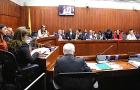 La Ministra de Minas, María Fernanda Suárez, interviniendo en el debate.
