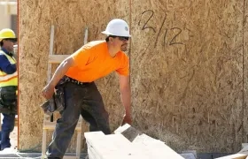  Las ocupaciones con más peligros asociados son aquellas que pertenecen a la industria del transporte, jardinería y otros trabajos temporales.