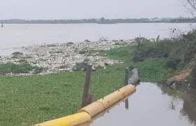 Hay una gran cantidad de basura y material en estado de descomposición cerca de la bocatoma del Acueducto.