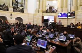Sesión plenaria del Senado de la República.